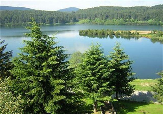 Bed and Breakfast La Casa Di Chiaretta Фалерна Экстерьер фото